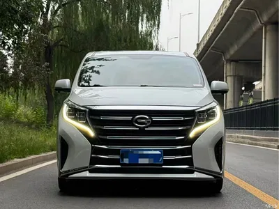 2023 GAC Trumpchi Trumpchi M8 Leading Series 390T Premium Edition, фото 2, лот 10418971