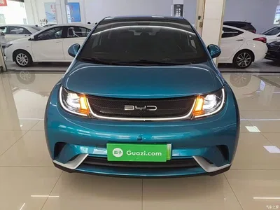2021 BYD Dolphin Model 405km Fashion Edition, фото 3, лот 10264233