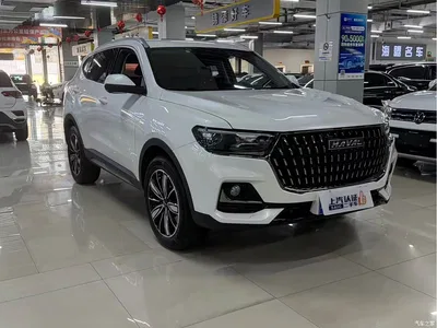 2023 Haval H6 National Trend Edition 1.5T Automatic Champion, фото 3, лот 10296953