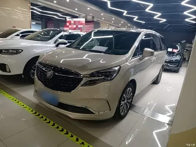 2021 Buick GL8 ES Landlord 653T Luxury, фото 2, лот 10257967