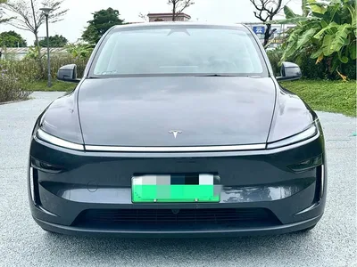2025 Tesla Model Y Rear-Wheel Drive, фото 2, лот 10599524
