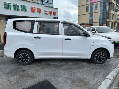 2024 Wuling Motors Wuling Hongguang New Energy Pure Electric 300KM Standard, фото 3, лот 11167561