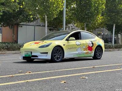2022 Tesla Model 3 Model Rear-Wheel Drive Version, фото 1, лот 11547389