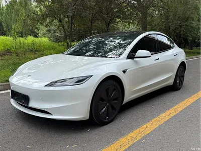 2025 Tesla Model 3 Model Rear-Wheel Drive Edition, фото 1, лот 10454437