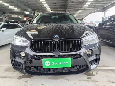 2018 BMW X6 xDrive28i, фото 3, лот 10469308