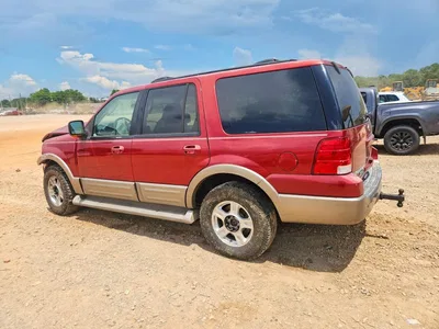2004 FORD EXPEDITION EDDIE BAUER, фото 2, лот 10983942
