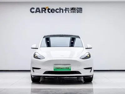 2022 Tesla Model Y Facelift Rear-Wheel Drive Version, фото 1, лот 10478573