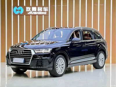 2019 Audi Q7 55 TFSI S line Sport, фото 1, лот 10238291