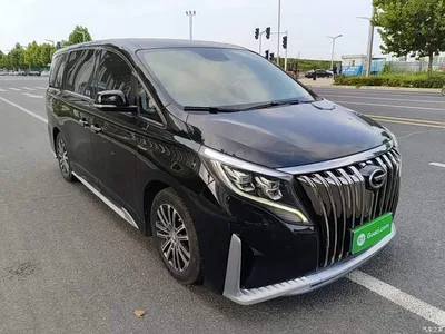 2021 GAC Trumpchi Trumpchi M8 Master Series 390T Prestige Edition, фото 4, лот 10422629
