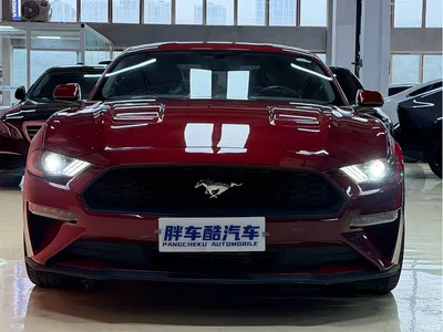 2019 Ford Mustang 2.3L EcoBoost Dark Knight Sport, фото 2, лот 10296071