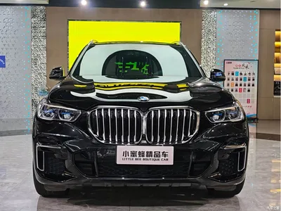 2022 BMW X5 Facelift xDrive 40Li M Sport Package, фото 2, лот 11247310