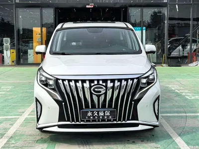 2021 GAC Trumpchi Trumpchi M8 Leading Show Series 390T Prestige Edition, фото 2, лот 10440102
