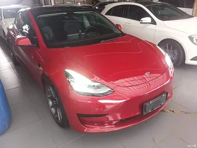 2019 Tesla Model 3 Standard Range Rear-Wheel Drive Upgrade, фото 4, лот 10370546