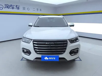 2020 Haval H6 1.5GDIT Automatic Platinum Champion Edition, фото 2, лот 10296519