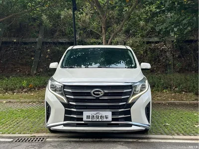 2021 GAC Trumpchi Trumpchi M8 Facelift Leading Series 390T Luxury Edition, фото 2, лот 10416711