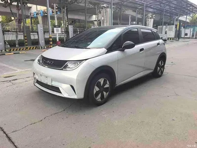 2025 BYD Dolphin 420km Freedom Edition, фото 1, лот 11180306
