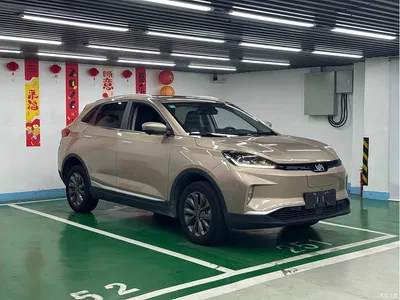 2018 Weltmeister EX5 400 Extra Innovation Edition, фото 3, лот 10625711