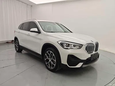 2020 BMW X1 sDrive25Li Leading Model, фото 4, лот 11139653