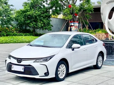 2023 Toyota Corolla 1.2T Pioneer Edition, фото 1, лот 10320125