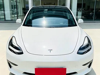 2019 Tesla Model 3 (Import) Long Range RWD Version, фото 2, лот 10353956