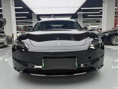 2023 Tesla Model 3 Long Range All-Wheel Drive, фото 2, лот 10895157
