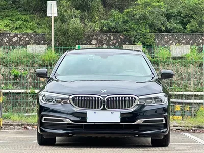 2020 BMW 5 Series 530Li Leading Luxury Package, фото 2, лот 10816012