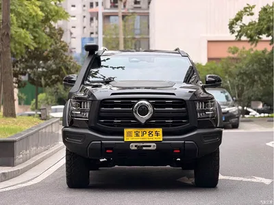 2023 Great Wall Shanhai Cannon 3.0T V6 Gasoline Performance Edition, фото 2, лот 11162752