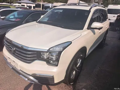 2017 GAC Trumpchi Trumpchi GS8 320T 2WD Luxury Smart Connect (7-seater), фото 1, лот 10419048