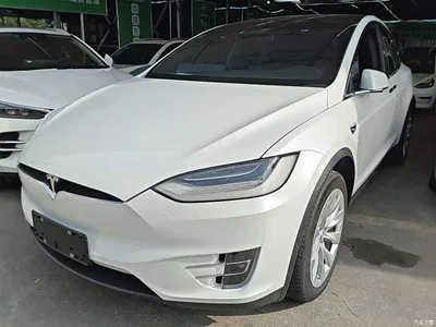 2019 Tesla Model X Long Range Version, фото 1, лот 11468889
