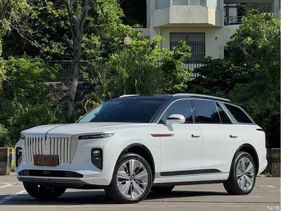 2022 Hongqi E-HS9 660km Qi Chang Edition (6-seater), фото 3, лот 10481452