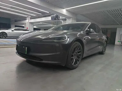 2023 Tesla Model 3 Rear-Wheel Drive, фото 1, лот 10373559