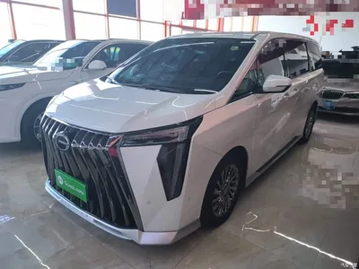 2024 GAC Trumpchi Trumpchi M8 Model Grandmaster Series 400T Pioneer Edition, фото 2, лот 10424609