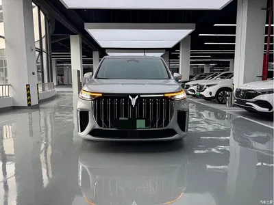 2022 Voyah Auto Voyah Dreamer Low-carbon Edition Think+Smart Driving Package, фото 2, лот 10358122