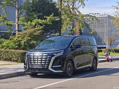 2024 Denza D9 DM-i 1050 Premium, фото 1, лот 10346782