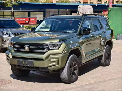 2024 Tank 400 New Energy Hi4-T Off-Road Edition, фото 3, лот 10307131