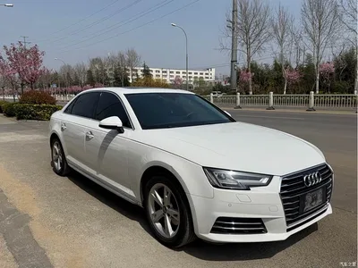 2017 Audi A4L Plus 40 TFSI Fashion, фото 3, лот 10439107