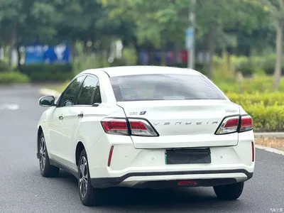 2020 Venucia D60EV Standard Range Premium Edition, фото 3, лот 11164935