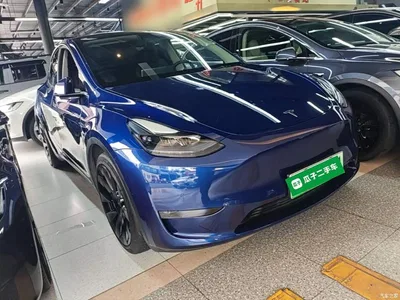 2021 Tesla Model Y Long Range All-Wheel Drive 3D7, фото 4, лот 10376780