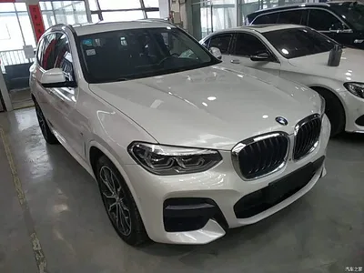 2020 BMW X3 xDrive30i Leading M Sport Package, фото 4, лот 10461833