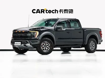 2023 Ford F-150 Raptor 3.5T Raptor, фото 1, лот 10294604