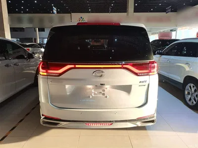 2024 GAC Trumpchi Trumpchi M8 Leadershow Series 390T Luxury Edition, фото 4, лот 10426155
