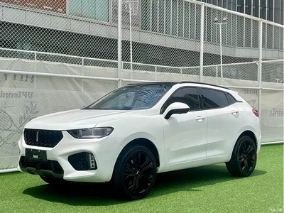 2017 WEY VV5 2.0T Flagship Model, фото 1, лот 10452023