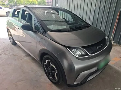 2021 BYD Dolphin Model 405km Fashion Edition, фото 4, лот 10263966
