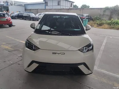 2024 BYD Seagull Glory Edition 305km Vitality Edition, фото 3, лот 10889972