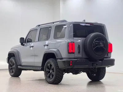 2024 Tank 300 Model 2.0T Challenger, фото 4, лот 10888947