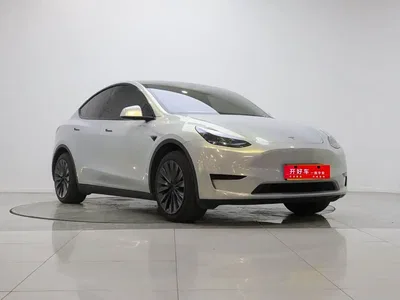 2023 Tesla Model Y Rear-Wheel Drive Edition, фото 3, лот 10391347