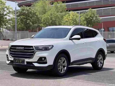 2021 Haval H6 Model National Trend Edition 1.5T Auto Champion, фото 1, лот 10283264