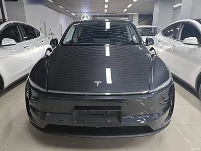 2025 Tesla Model Y Long Range All-Wheel Drive, фото 3, лот 10369688
