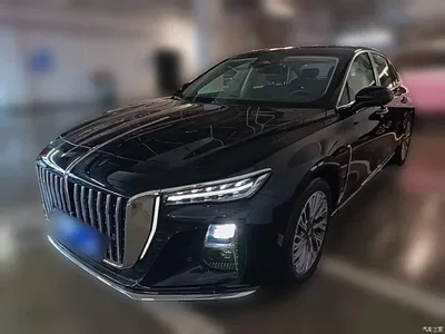 2023 Hongqi H5 2.0T Auto Smart Connect Flag Comfort, фото 1, лот 10304560