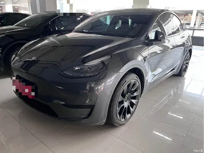 2023 Tesla Model Y Rear-Wheel Drive Edition, фото 1, лот 10587372